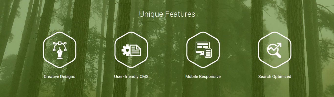 travel website